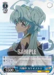 SG/W70-084 U 忠告する翼