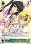 SG/W72-031 U 【白衣の診察】調＆切歌