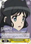 SG/W89-017 C 邪悪な表情 シェム・ハ