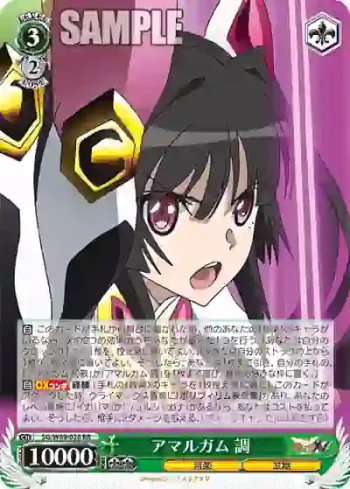 SG/W89-028 RR アマルガム 調