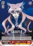 SG/W89-070 C 攻防戦 クリス