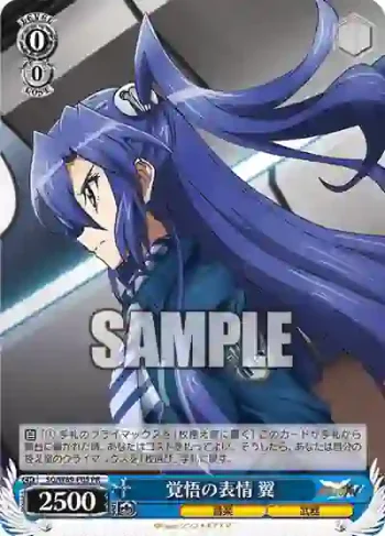 SG/W89-P05 PR 覚悟の表情 翼
