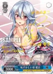 Shh/W62-076 R グレイスと接続改装