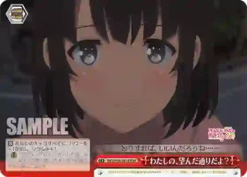 SHS/W98-082R RRR わたしの、望んだ通りだよ？