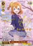 SIL/W109-053 RR 満開の桜 高坂 穂乃果