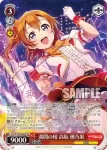 SIL/W109-053SEC SEC 満開の桜 高坂 穂乃果