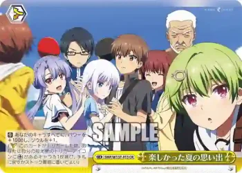 SMP/W137-013 CR 楽しかった夏の思い出