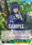SMP/W137-017 R “夏の始まり”鴎