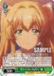 SMP/W137-020S SR “好奇心旺盛”鴎