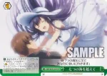 SMP/W137-034 CR 七つの海を越えて