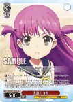 SMP/W137-060 C “渡りの人”羽依里