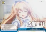 SMP/W137-096S SR 最後の一週間