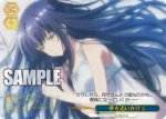 SMP/W137-100 CR 夢を追いかけて
