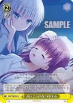 SMP/W60-023 CR 一筋の光