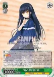 SMP/W60-027 RR “夏の思い出”鴎