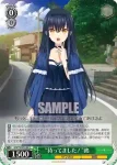 SMP/W60-035 U “思い出した記憶”鴎