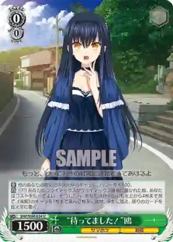 SMP/W60-034 U “待ってました！”鴎
