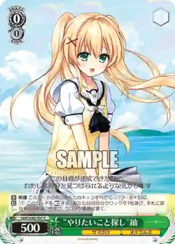 SMP/W60-037 C “やりたいこと探し”紬
