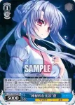 SMP/W60-077 RR “神秘的な光景”蒼