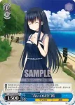 SMP/W60-093 C “青いのは空”鴎