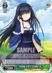 SMP/W60-P01 PR “海賊船を探すお嬢様”鴎