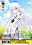 SMP/W60-P01 PR “海賊船を探すお嬢様”鴎