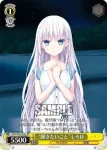 SMP/W60-T04a TD “聞きたいこと”しろは