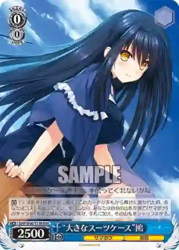 SMP/W60-T11R RRR “大きなスーツケース”鴎