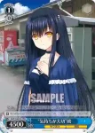SMP/W60-T14 TD “気持ちが大切”鴎