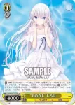 SMP/W82-006 R “まぶしさの向こう側へ”しろは