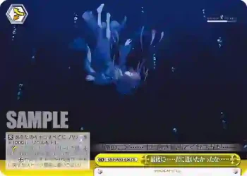 SMP/W82-026 CR 最後に……君に逢いたかったな……