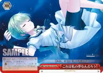 SMP/W82-077R RRR これは私の夢なんだろう