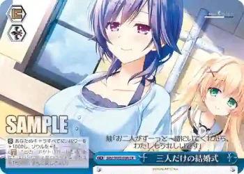 SMP/W82-099 CR 三人だけの結婚式