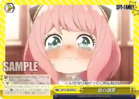 spy_s106_026 SPY/S106-026 CC 涙の謝罪