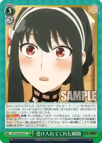 SPY/S106-054 U 受け入れてくれた瞬間