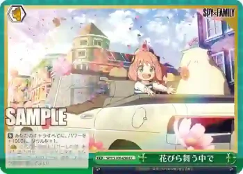 SPY/S106-056 CC 花びら舞う中で