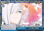 SPY/S106-099R RRR 心に秘めた情熱