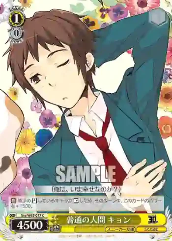 Ssy/W62-017 C 普通の人間 キョン
