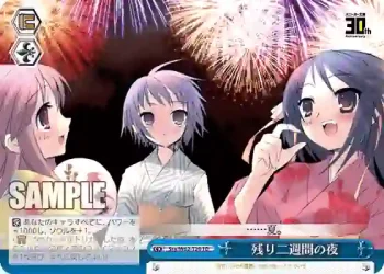 Ssy/W62-T20 TD 残り二週間の夜
