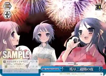 Ssy/W62-T20R TD 残り二週間の夜