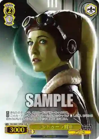 SW/SE47-13FOP FOP シンドゥーラ将軍