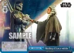 SW/SE47-45 N Meeting of Force wielder