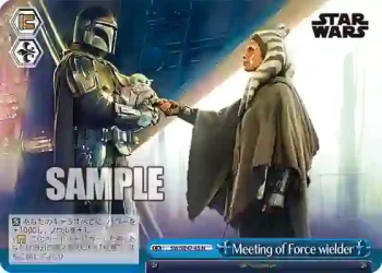 SW/SE47-45 N Meeting of Force wielder