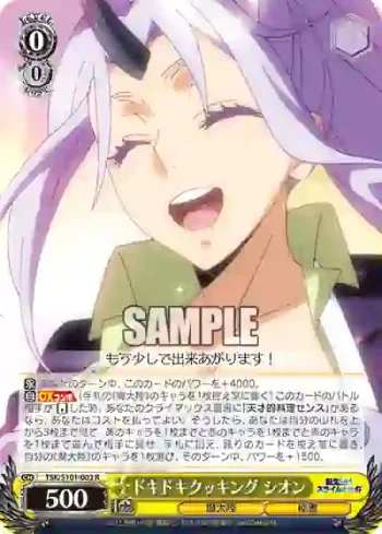 TSK/S101-003  ドキドキクッキング シオン