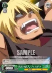 TSK/S101-036  予想外の助け リムル