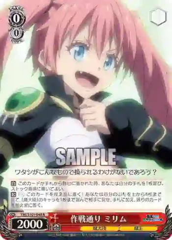 TSK/S101-048  作戦通り ミリム