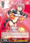 TSK/S101-048S  作戦通り ミリム