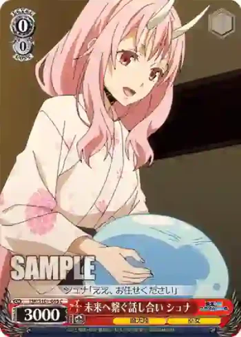 TSK/S101-065  未来へ繋ぐ話し合い シュナ