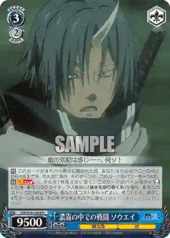 TSK/S101-089  濃霧の中での戦闘 ソウエイ