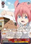 TSK/S70-041 R 追撃 ミリム